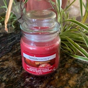 Luminescence 1-wick candle in “apple cinnamon”